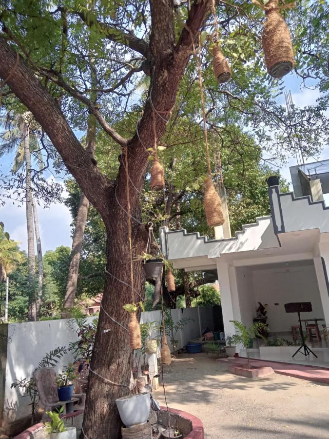 Green Star Villa Jaffna Rum bild